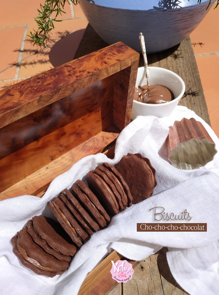 biscuits-sables-chocolat